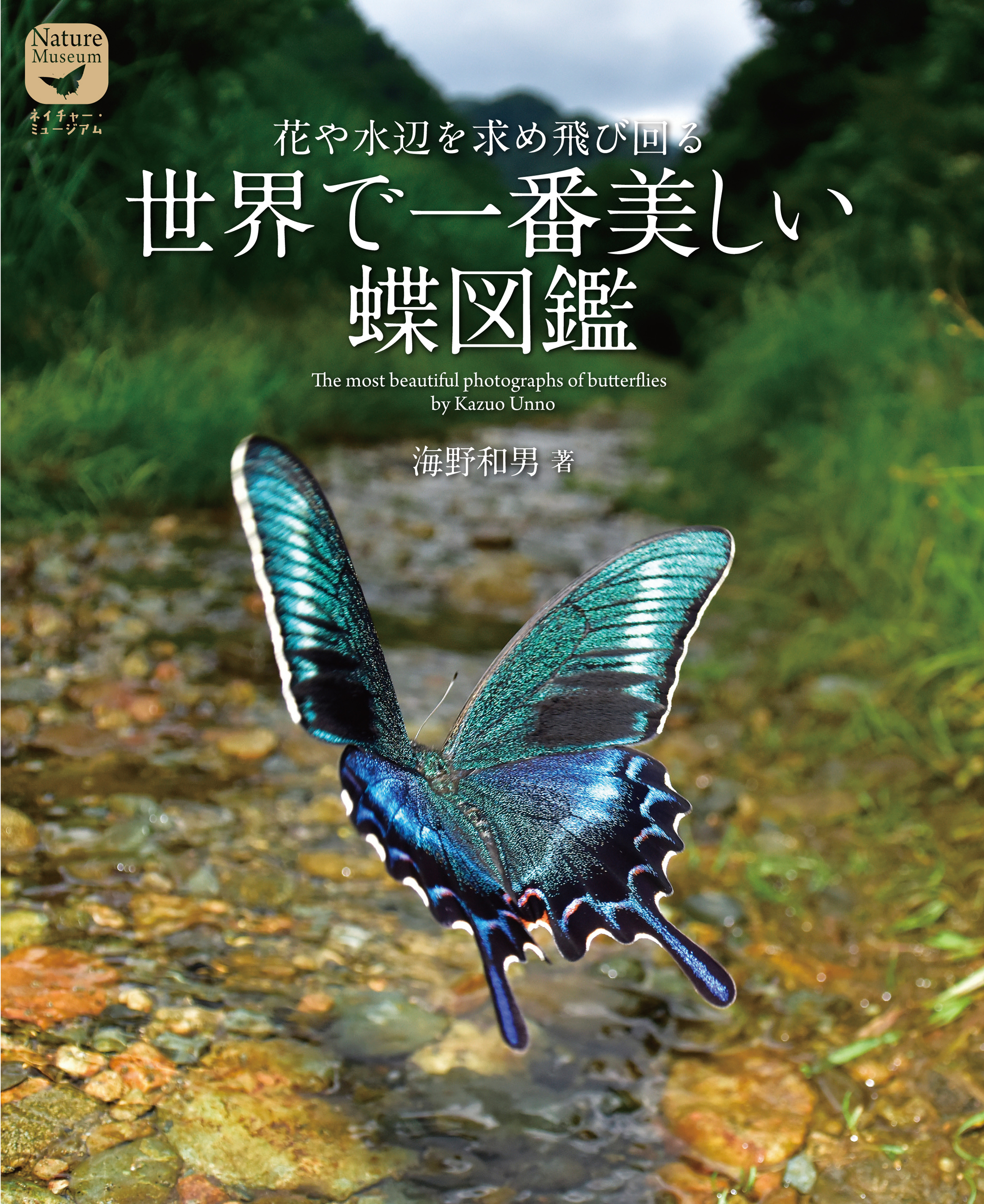 ヤフオク! - 日本の蝶 〈1〉〈2〉 (カラー自然ガイド) / 高橋... | fcdf.fr