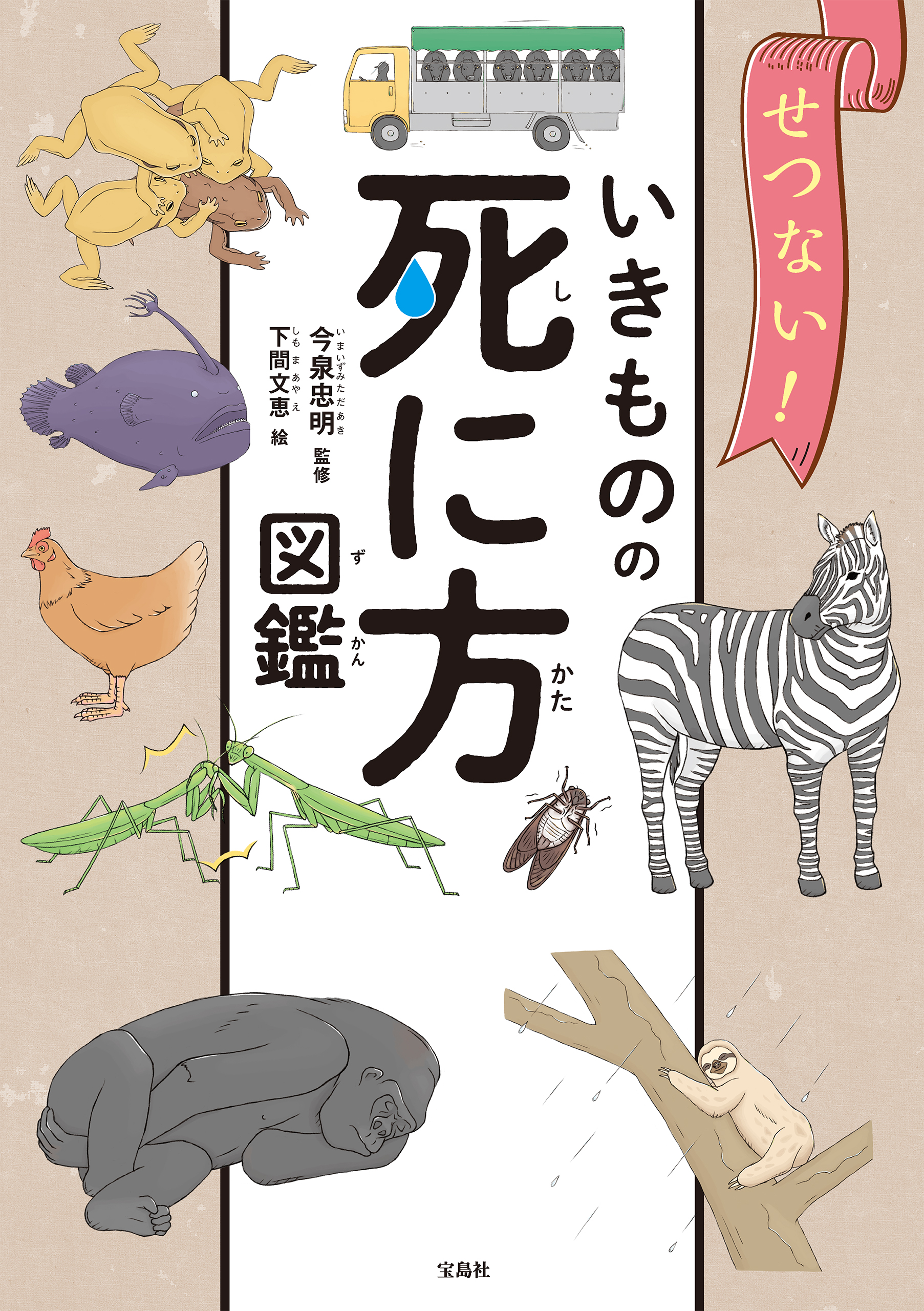 ざんねんないきもの辞典 泣けるいきもの図鑑 せつない動物図鑑 4冊