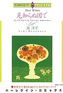 見知らぬ国で【分冊】 2巻