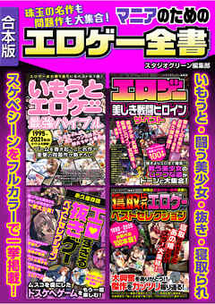 珠玉の名作も問題作も大集合！　マニアのためのエロゲー全書