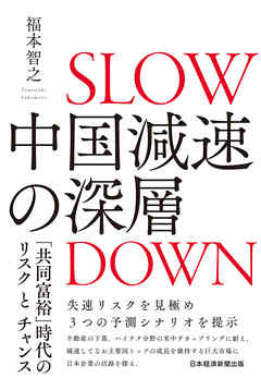 中国減速の深層　「共同富裕」時代のリスクとチャンス