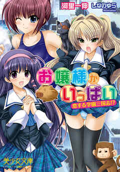 お嬢様がいっぱい　恋する学園三国志！？