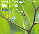 オオムラサキと里山の一年　～夏の雑木林にかがやく、日本の国蝶～（小学館の図鑑NEOの科学絵本）