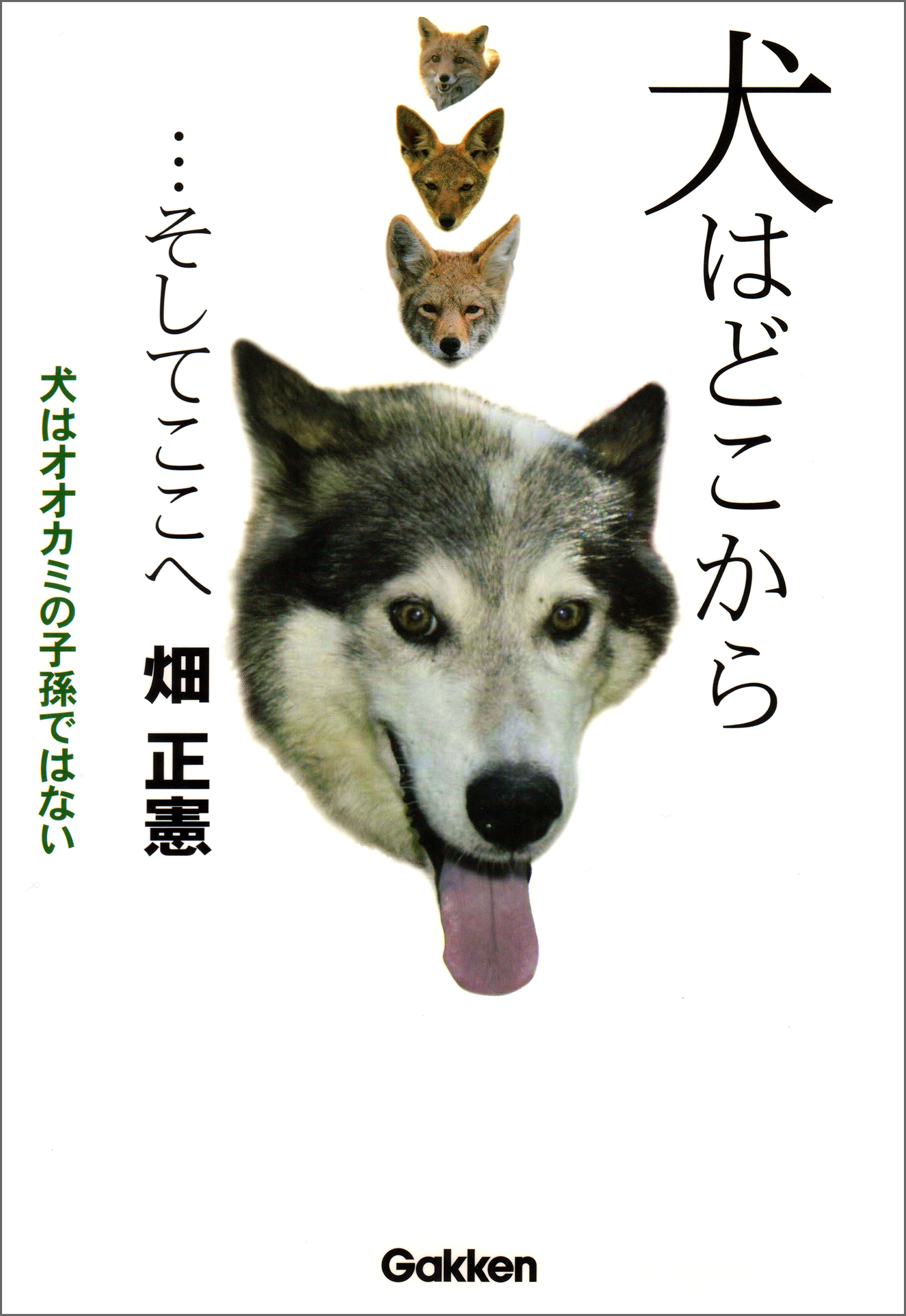 お買得 犬語図鑑 犬のボディランゲージを学んでもっと愛犬と仲良くな