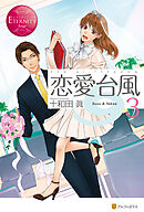 恋愛台風３