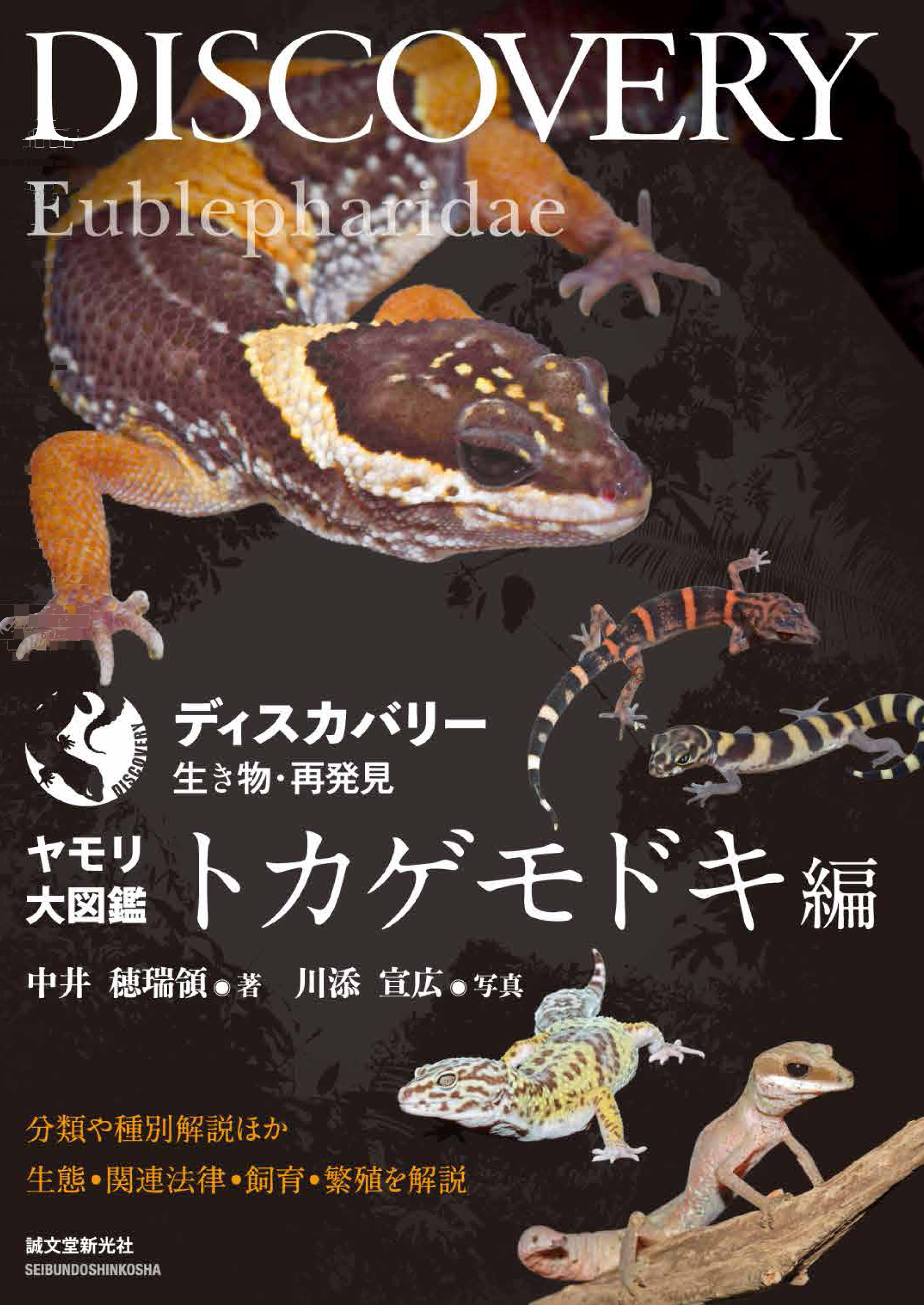 書籍] ヘビ大図鑑 分類ほか改良品種と生態・飼育・繁殖を解説