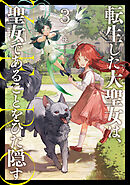 転生した大聖女は、聖女であることをひた隠す　ZERO３