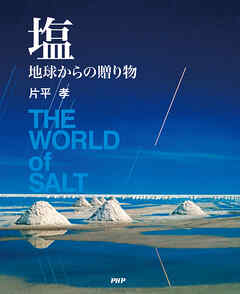 塩 地球からの贈り物
