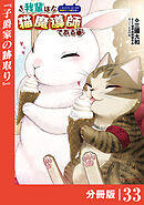 我輩は猫魔導師である～キジトラ・ルークの快適チート猫生活～【分冊版】（ポルカコミックス）３３