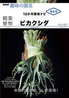 観葉植物 ビカクシダ 杉山拓巳 漫画 無料試し読みなら 電子書籍ストア ブックライブ