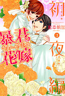 暴君ヴァーデルの花嫁 初夜編 21 最新刊 松本帆加 漫画 無料試し読みなら 電子書籍ストア ブックライブ