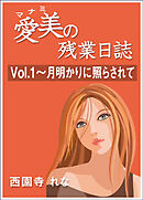 愛美の残業日誌　Vol.1～月明かりに照らされて