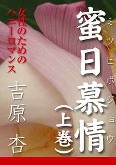蜜日慕情（上巻）