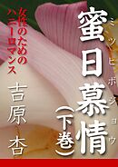 蜜日慕情（下巻）