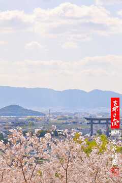 古都さんぽ29 ～写真家 茶谷明宏がゆく～