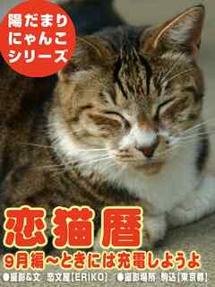 恋猫暦～9月編 ときには充電しようよ