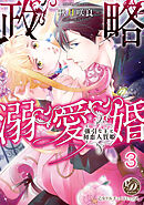 政略溺愛婚～強引な王と初恋人質姫～【分冊版】3