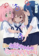 僕のお姉ちゃんはむっつりすけべ！！(2)