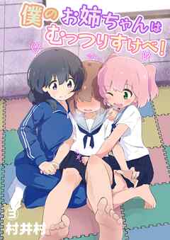 僕のお姉ちゃんはムッツリスケベ！！(3)