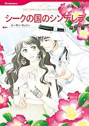 シークの国のシンデレラ【分冊】 11巻