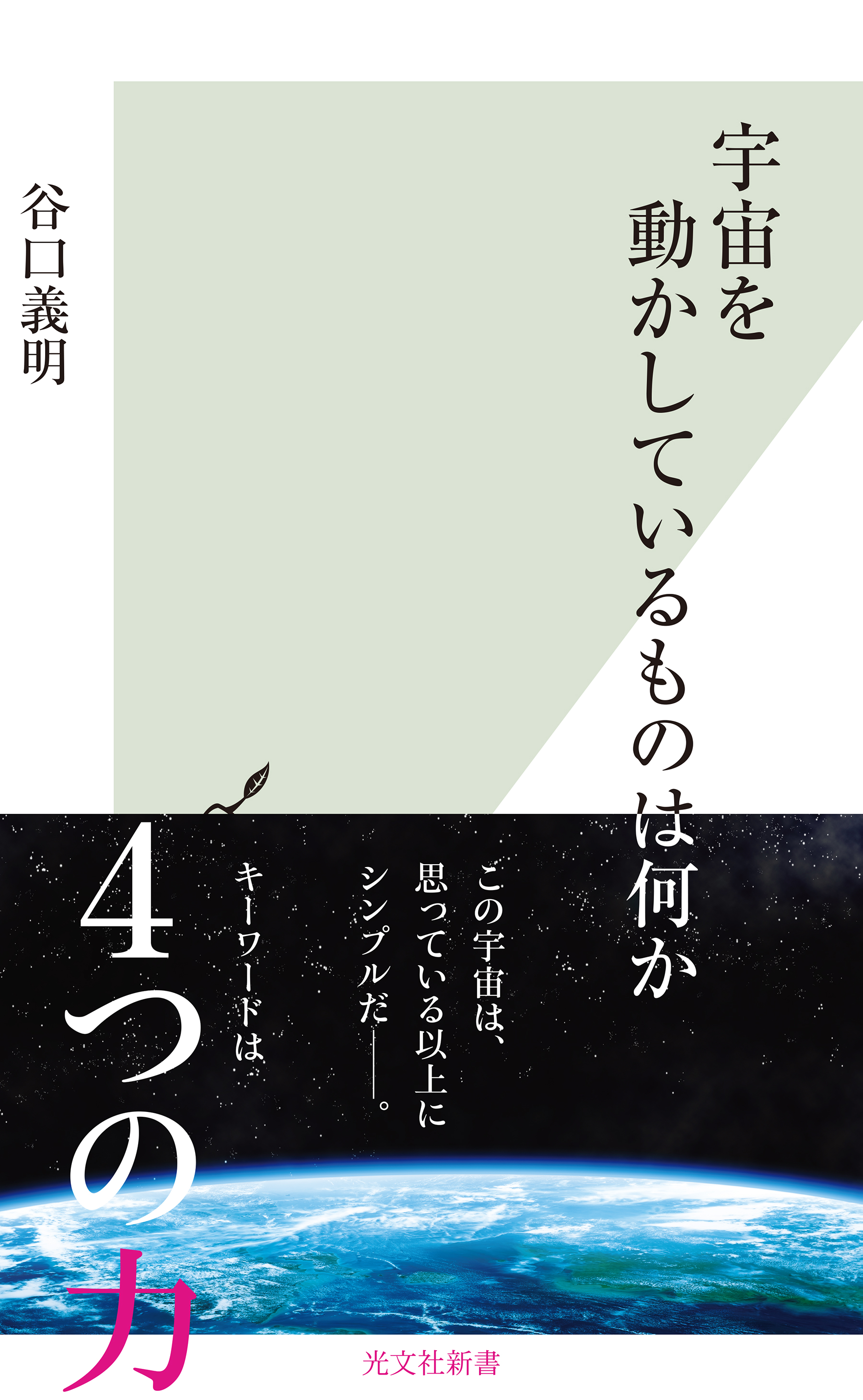 宇宙を動かしているものは何か - 谷口義明 - 漫画・ラノベ（小説