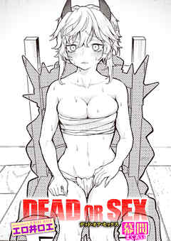 DEAD OR SEX 幕間