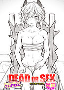 DEAD OR SEX 幕間