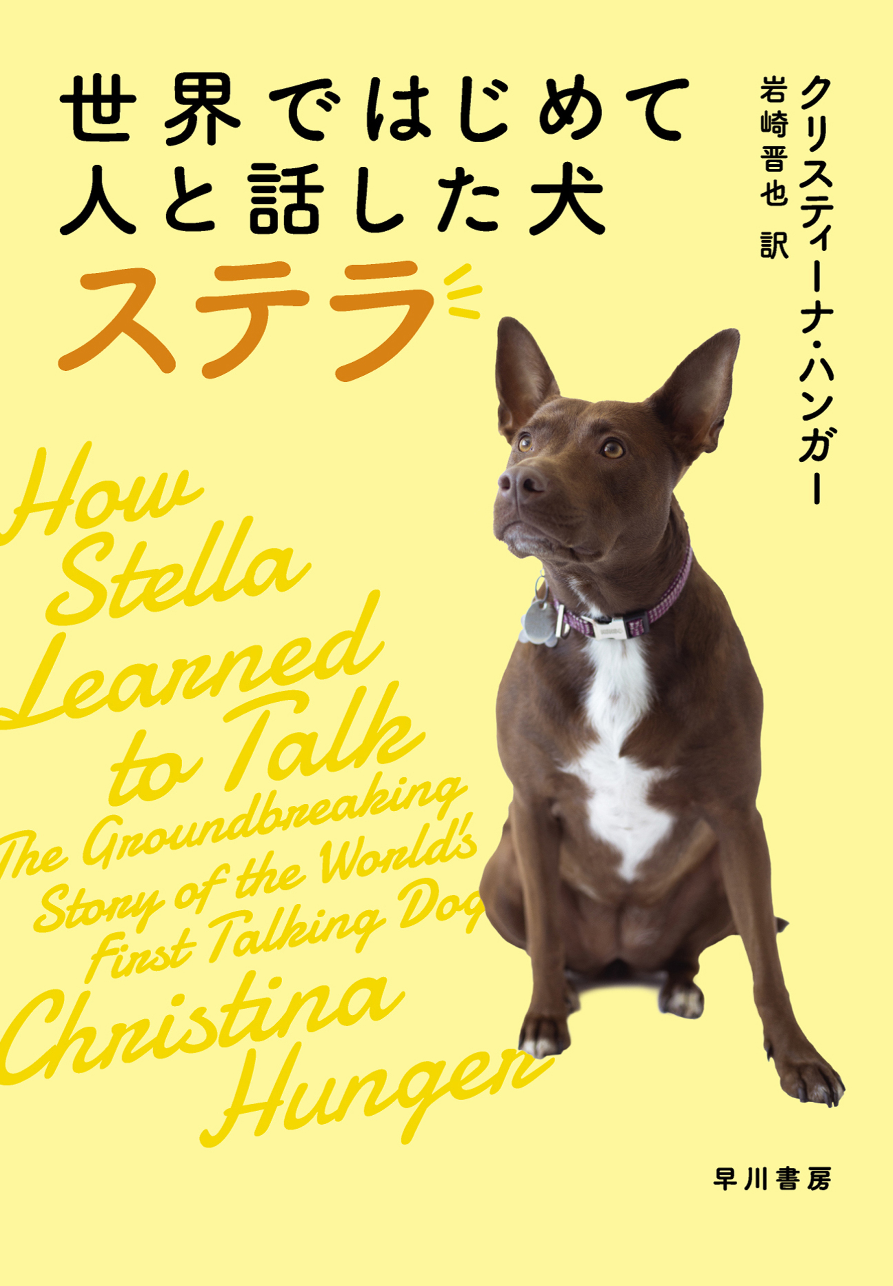 最大72％オフ！ 函館市水道100年関連書籍（２冊セット）