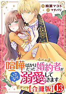 喧嘩ばかりだった婚約者がいきなり溺愛してきます【合冊版】13