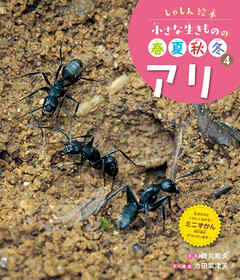 アリ４　しゃしん絵本　小さな生きものの春夏秋冬