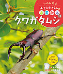 クワガタムシ１３　しゃしん絵本　小さな生きものの春夏秋冬
