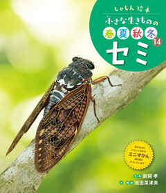 セミ１４　しゃしん絵本　小さな生きものの春夏秋冬