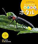 ホタル１６　しゃしん絵本　小さな生きものの春夏秋冬