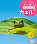 カエル１８　しゃしん絵本　小さな生きものの春夏秋冬