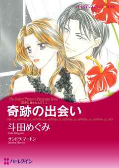 奇跡の出会い〈王子に魅せられてⅠ〉【分冊】