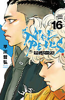 ナインピークス　NINE PEAKS　16