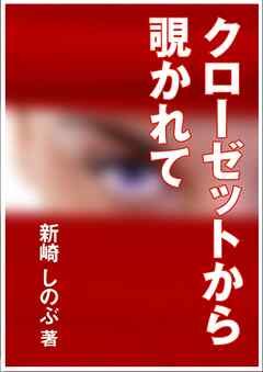 クローゼットから覗かれて