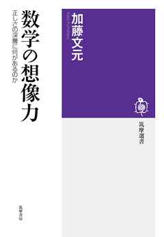 数学の想像力　──正しさの深層に何があるのか
