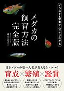メダカの飼育方法 完全版