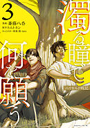 濁る瞳で何を願う　ハイセルク戦記（３）
