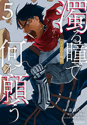 濁る瞳で何を願う　ハイセルク戦記