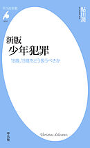 新版 少年犯罪