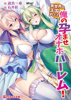 異世界の王国丸ごと俺の孕ませオナホハーレム！