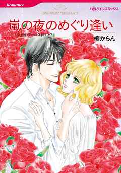 嵐の夜のめぐり逢い【分冊】 6巻