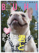 BUHI 2026年春号