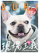 BUHI 2026年秋号
