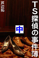 TS探偵の事件簿　中　アリバイは空の彼方に