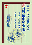 真空管アンプと喜多さんの　続　音響道中膝栗毛：外題すてれを卿行状記