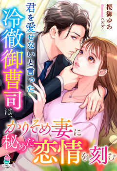 君を愛せないと言った冷徹御曹司は、かりそめ妻に秘めた恋情を刻む