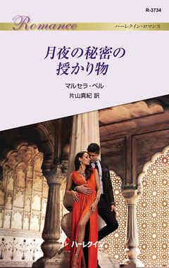 月夜の秘密の授かり物
